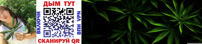 Купить  Павлово  Канабис SATIVA & INDICA 